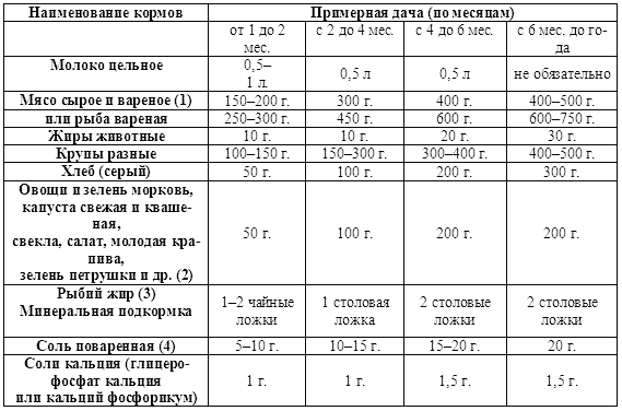 Бизнес план дрессировка собак