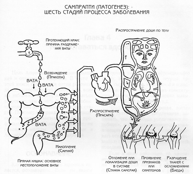 Стадии заболевания. 6 Стадий болезни по аюрведе. Стадии развития болезни в аюрведе. Этапы появления болезни. Стадия болезни схема.