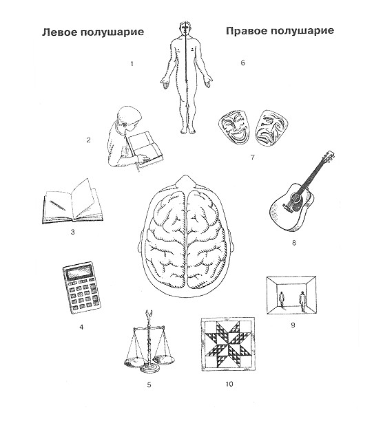 Интроверт правое. Левое полушарие интроверта. Непобедимый интроверт Лэйни Марти. Правое полушарие интроверта. Правое полушарие интроверта логотип.