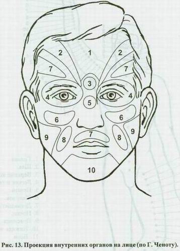 Лица организма. Проекция органов на лице. Точки проекции органов на лице. Точки внутренних органов на лице человека. Схема проекции органов на лице.