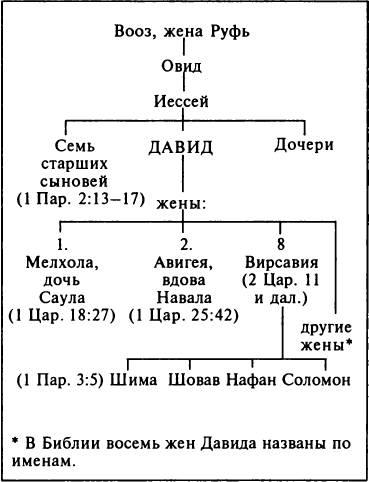 Родословная иисуса. Генеалогическое дерево царя Давида. Родословие царя Давида. Родословие царя Давида Библия. Родословная царя Давида схема.