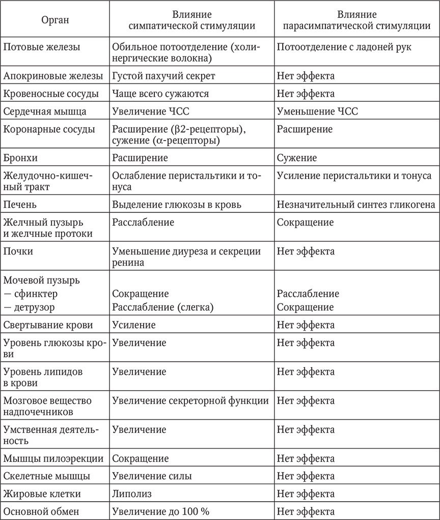 Как влияют симпатические нервы на органы человека. Влияние симпатической и парасимпатической нервной системы. Симпатический отдел ВНС таблица. Симпатическая и парасимпатическая нервная система таблица. Вегетативная нервная система таблица.