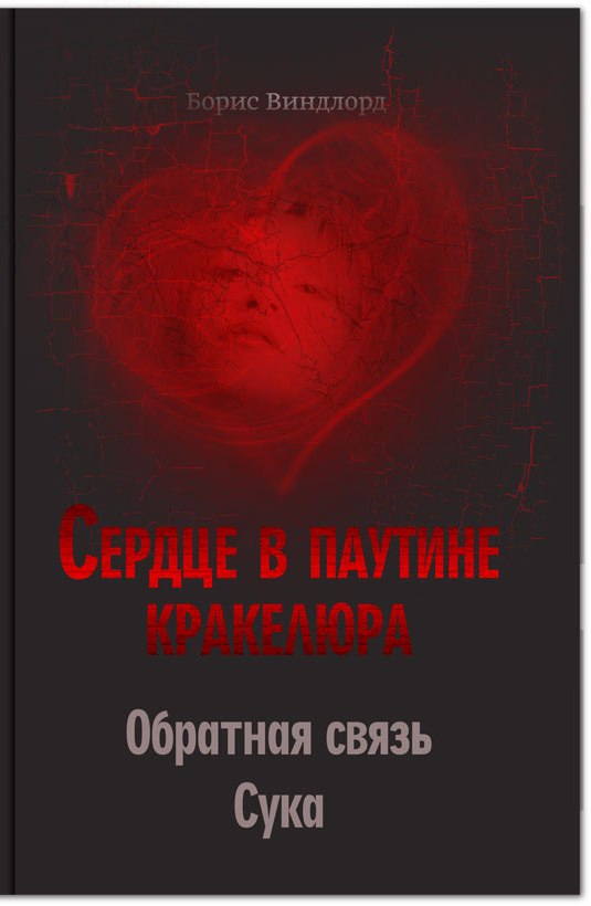 Книга сердце героя