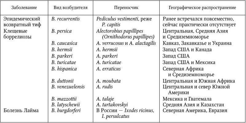 Заболевание на латинском. Возвратный тиф микробиология таксономия. Боррелии – возбудители возвратных тифов.. Боррелии микробиология таксономия.