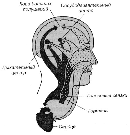 Люстра чижевского фото