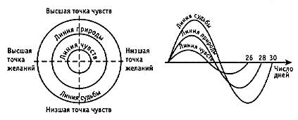 Чувство точки. Высшая точка чувств. Высшая точка чувств книга. Восхождение к Дао книга. Точка желания.