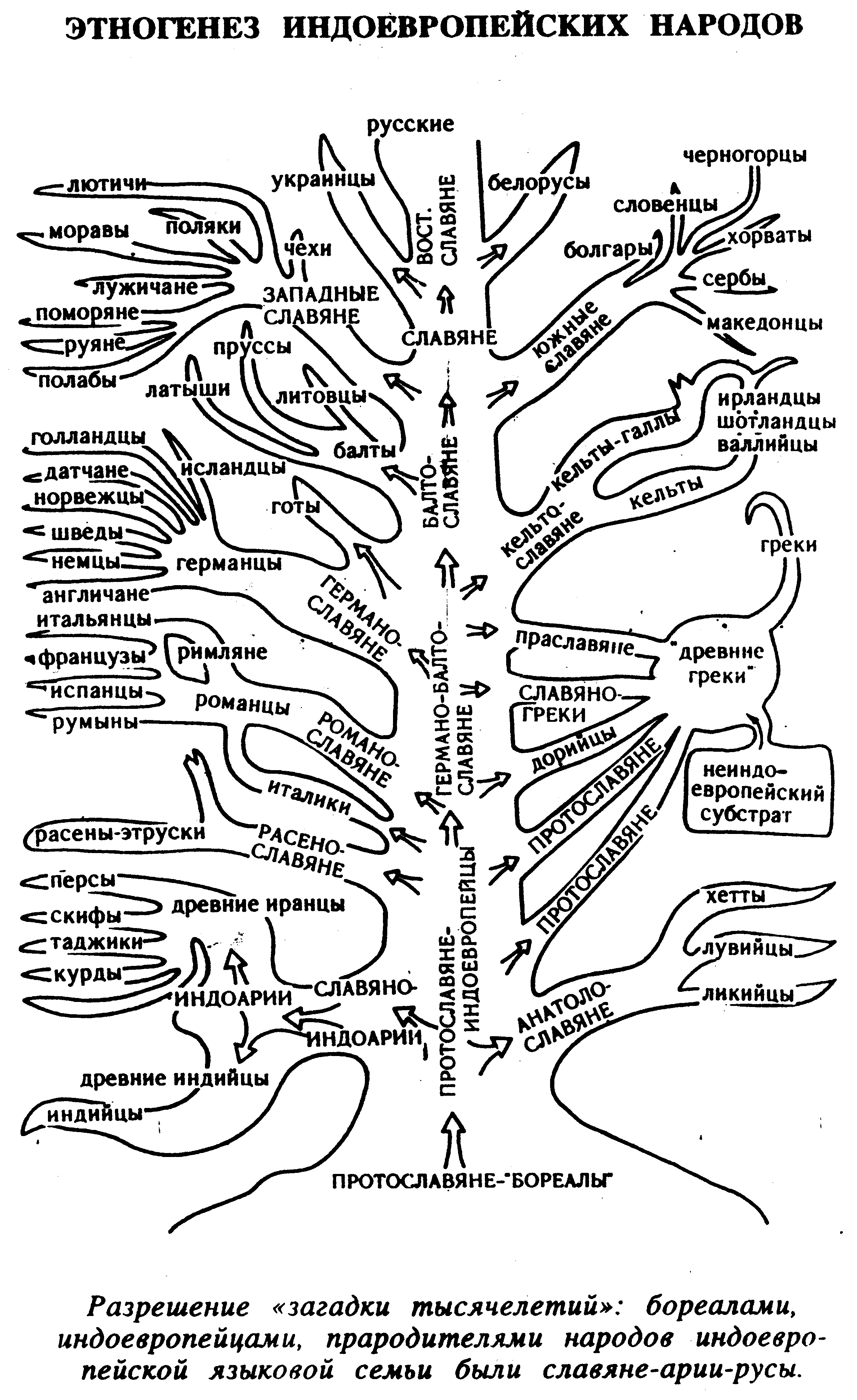 Дерево народов. Схема индоевропейская языковая семья таблица. Древо индоевропейских народов. Индоевропейская языковая семья схема. Генеалогическое Древо славянских богов.