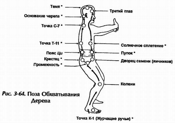 Книга точки ци