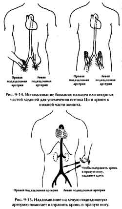 Направление ци