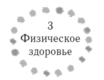 Жизнь В Стиле Соло