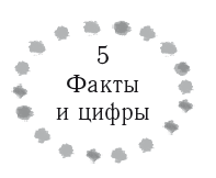 Жизнь В Стиле Соло Скачать