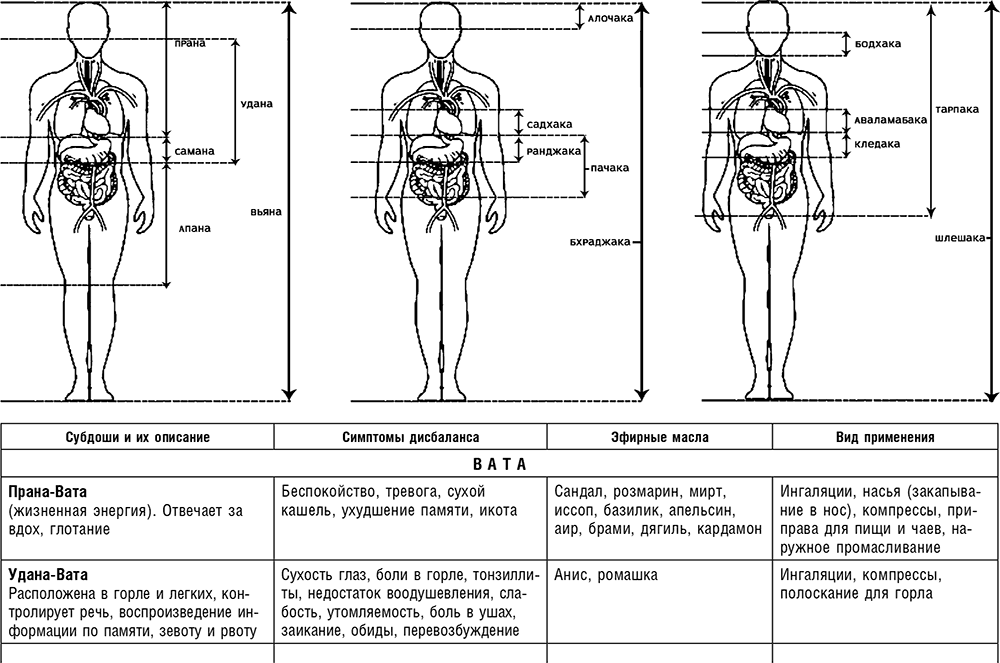 Вата схема. Локализация доша в теле. Аюрведа схема. Субдоши ваты. Аюрведа Доши.