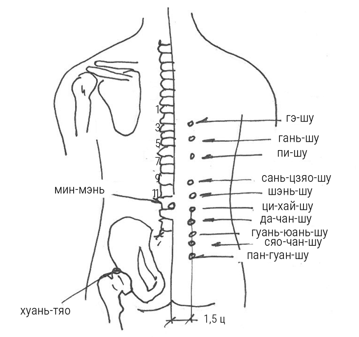 Книга точки ци. Ци Хай Шу точка акупунктуры. Точка Шэнь Шу. Шу точки спины. Да Чан Шу точка.