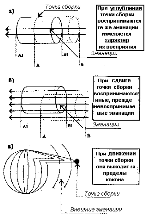 Точка сборки. Что такое точка сборки по Кастанеде. Точка сборки Кастанеда. Точка сборки человека.