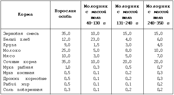 Что можно крысам. Таблица рациона домашних крыс. Рацион декоративных крыс таблица. Таблица рациона питания крыс. Сколько крысам нужно давать корма.