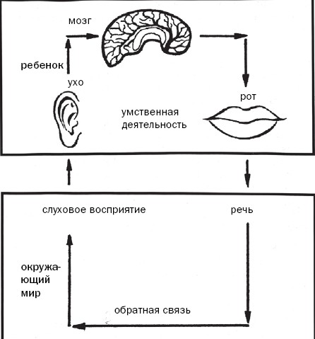 Кипхард как развивается ваш ребенок. Нарушение слухового восприятия схема. Схема восприятия речи. Слуховое восприятие информации. Слуховое восприятие речи.