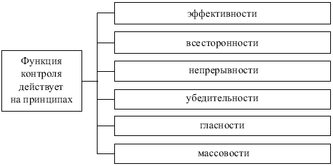 Принципы функции. Принципы функции контроля. Функции контроля схема. Принципы контроля в менеджменте. Функция контроля действует на принципах.